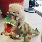 Erlyana Erlya profile icon