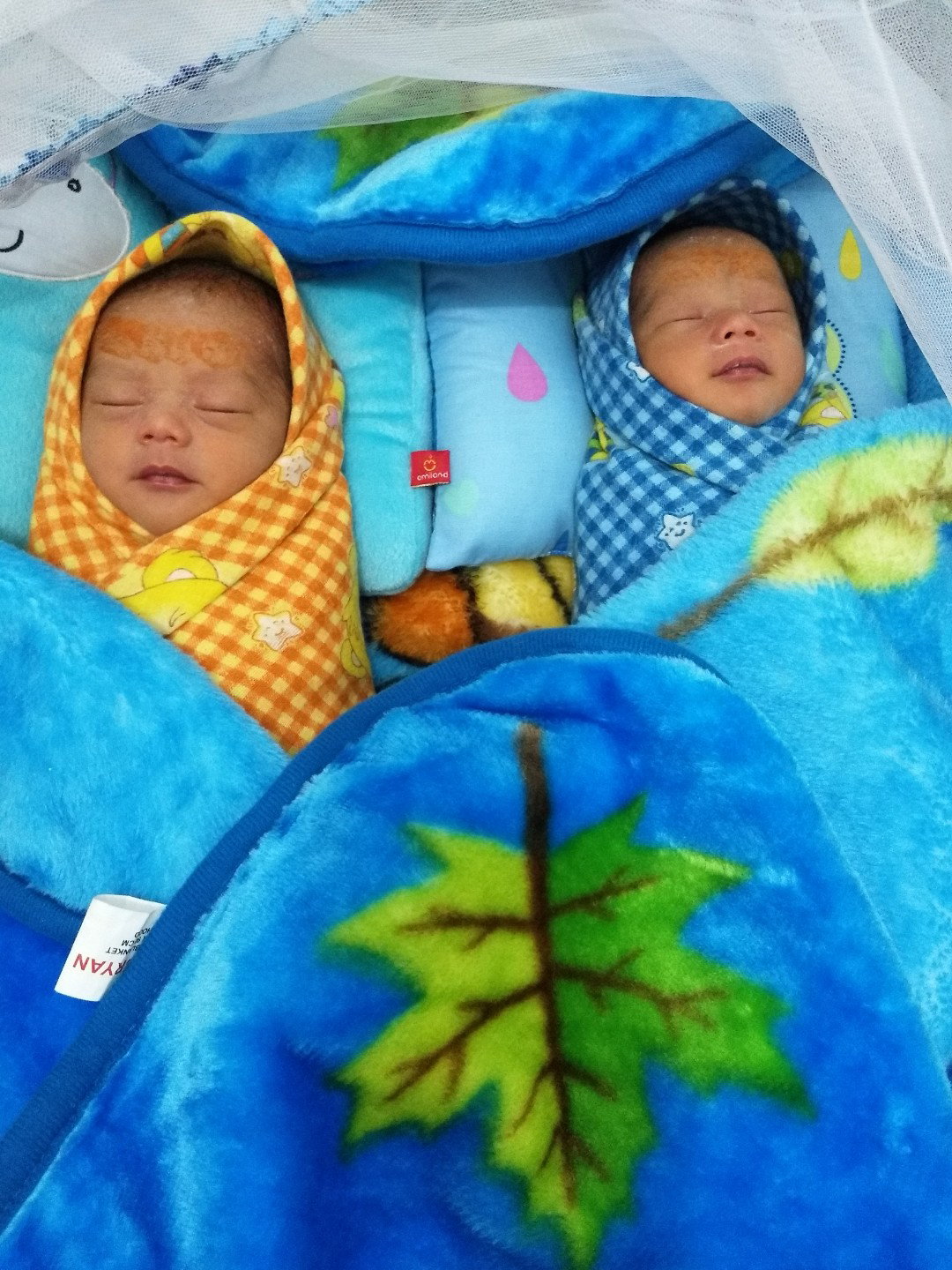 twin boy