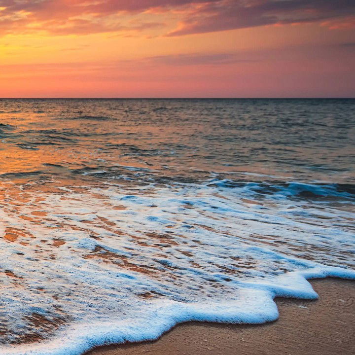 Miss Ayu profile icon