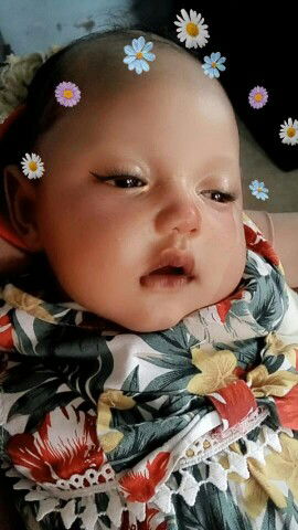 Nova Firmansyah profile icon