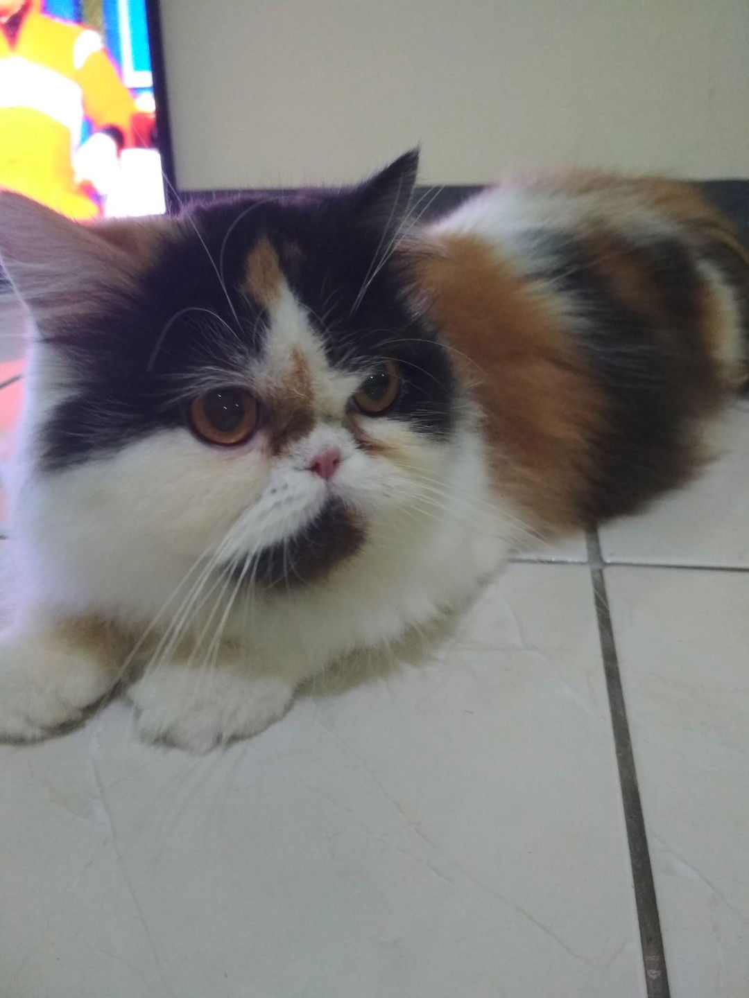 Verica Eko Hatwan profile icon