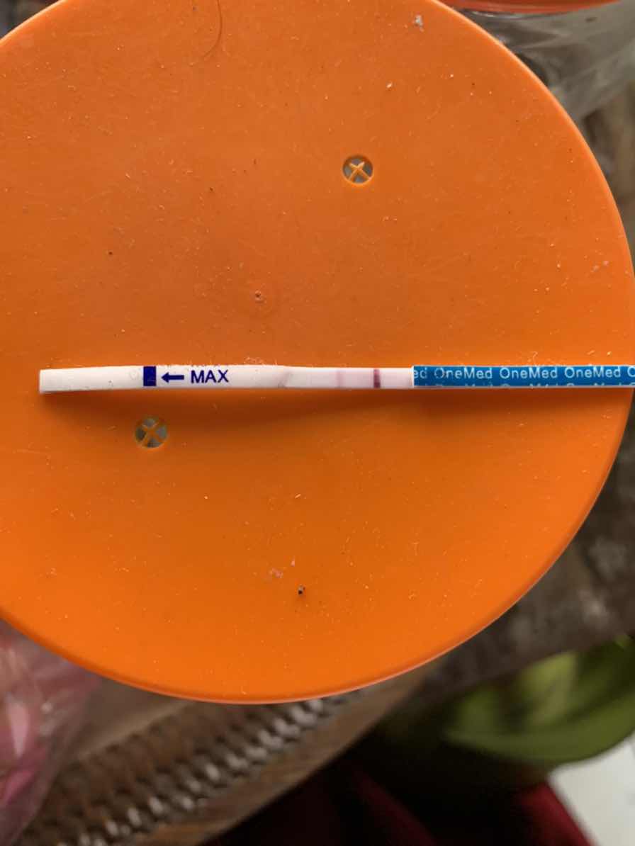 Garis Dua setelah keguguran