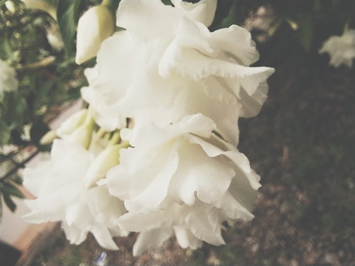 ทุกคนเคยมองหรือผ่านสิ่งแย่ๆช่วงท้องไปกันอย่างไงบ้างค่ะอยากให้แชร์ประสบการณ์ให้ตัวเราและเพื่อนๆผ่านเรื่องแย่งไป