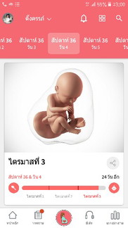 คลอดลูก
