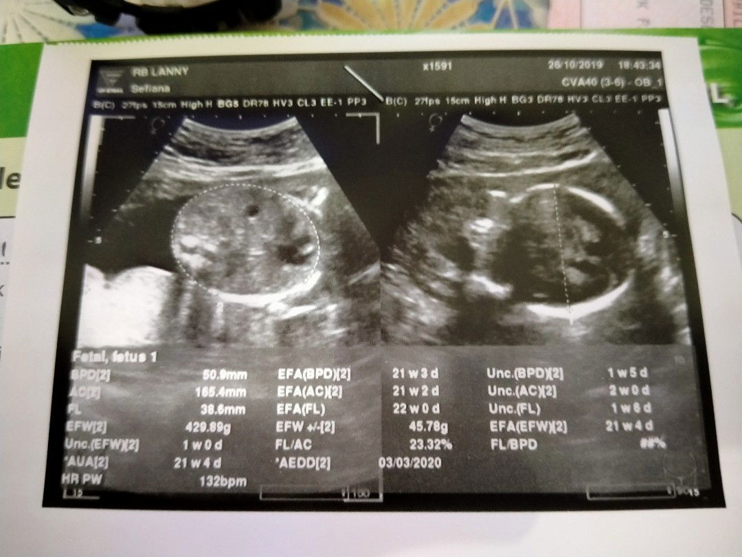 calon ibu profile icon