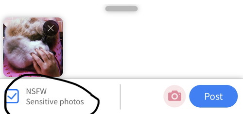 Blurkan gambar sensitive anda
