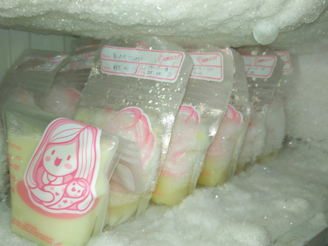 Dilema Emak2 Berkarir