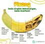 sedikit info untuk yg suka sama pisang