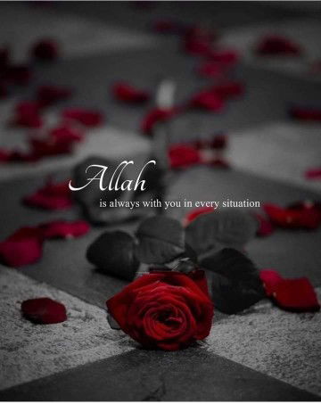 Ishi SmiLe profile icon