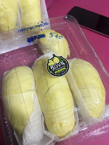 ชิ้นใหญ่ๆ