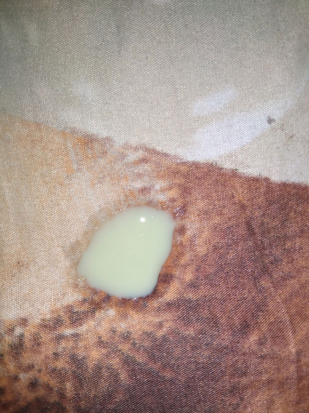 Maaf Sedikiit Jorokk !