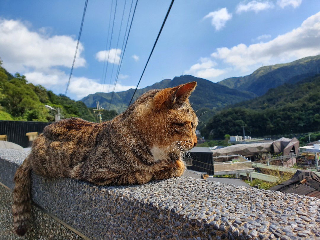 My world OnLy profile icon