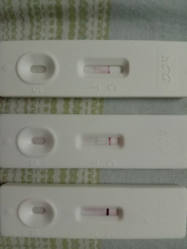 pregnant atau tidak