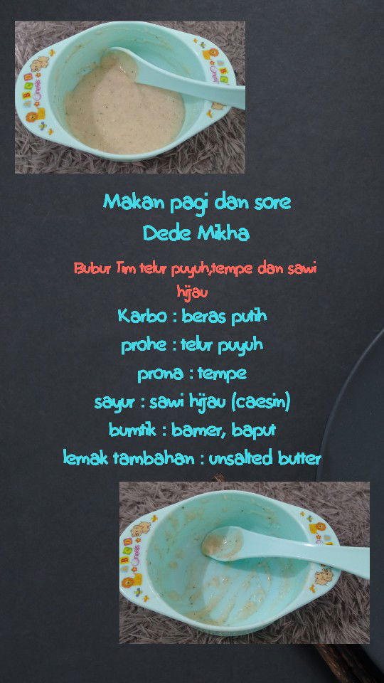 menu MPASI