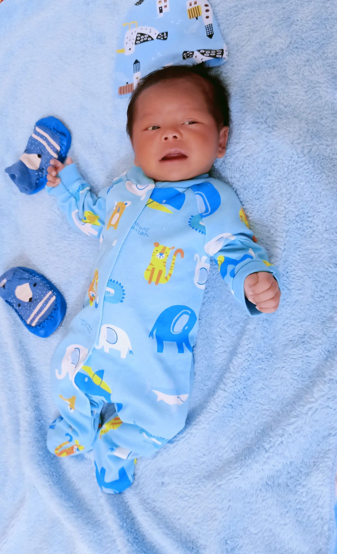 Zolla Andrestia profile icon