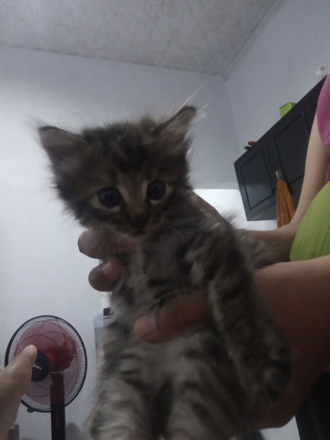 ummu abidzar profile icon