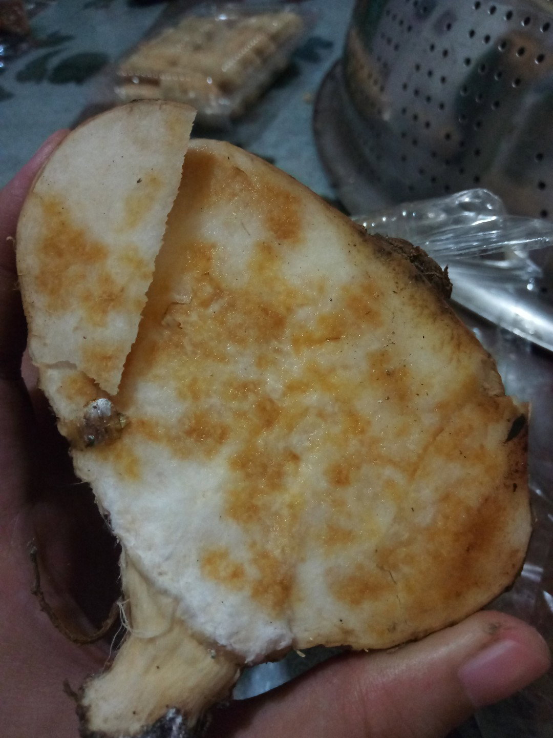 bengkoang