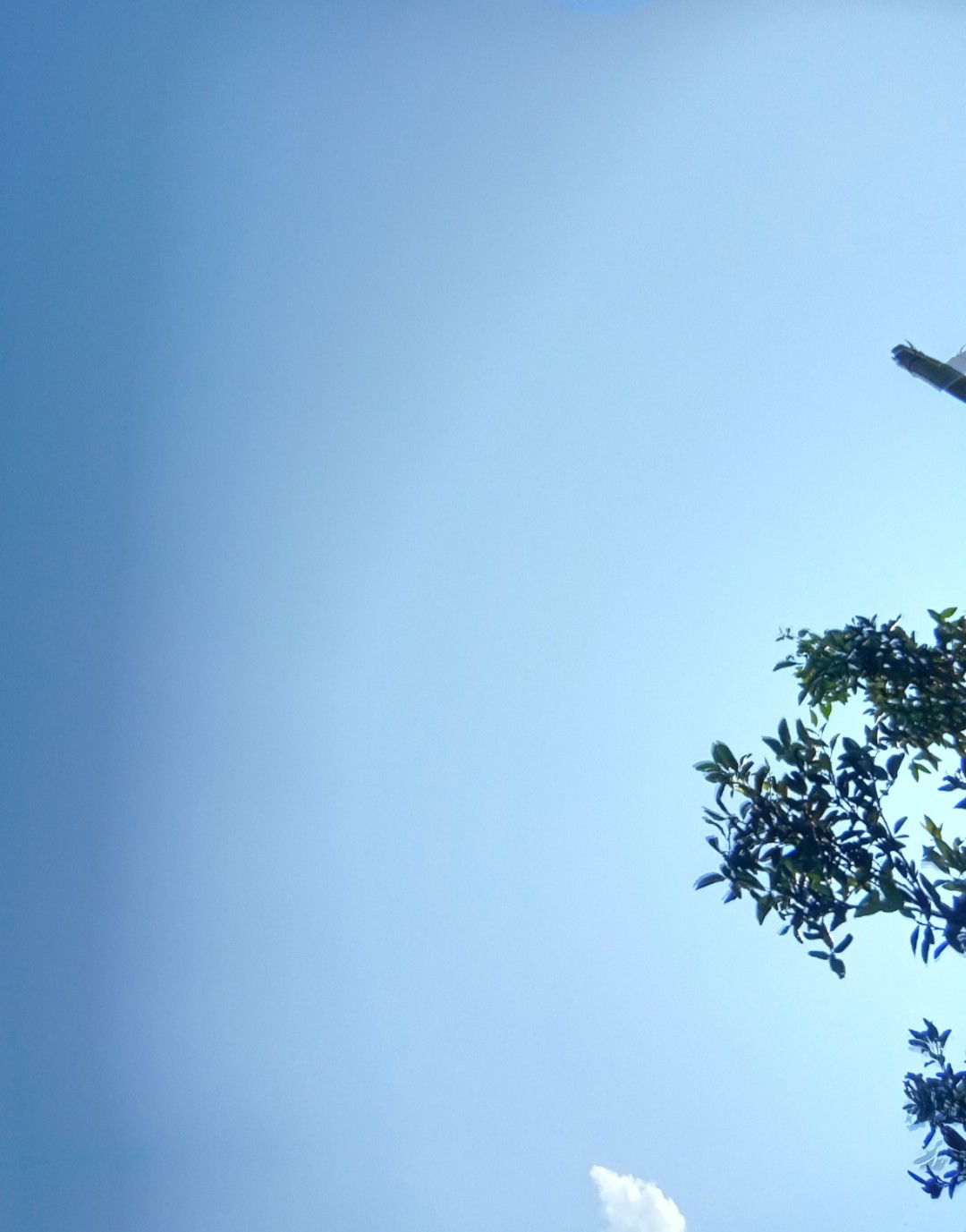 Febri EndriAni profile icon