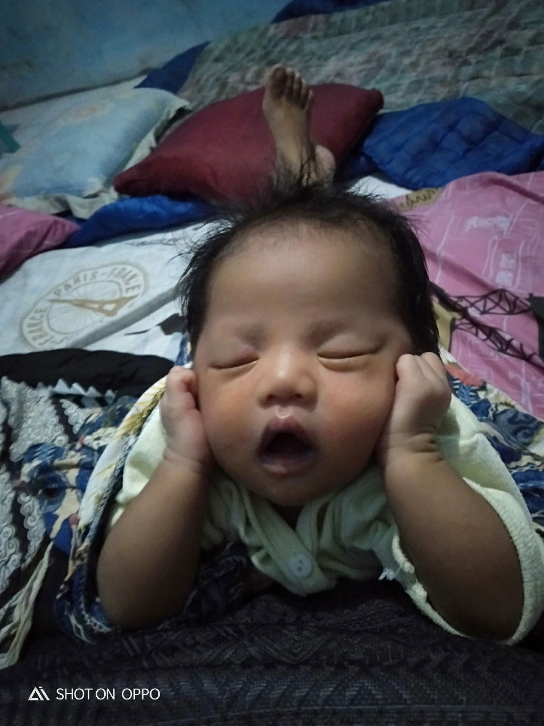 Ufaira calista taruni profile icon