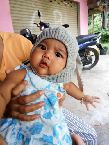 หมูน้อยฟ้าใส