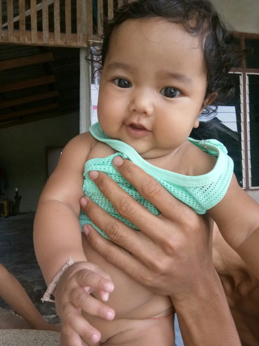 หมูน้อยฟ้าใส