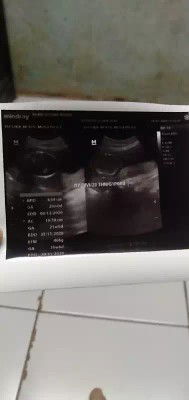 Divi Puspa profile icon