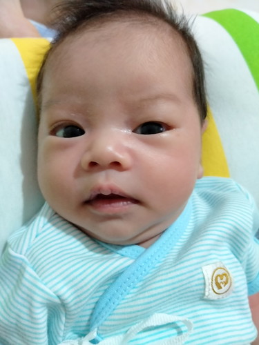 PaoPao