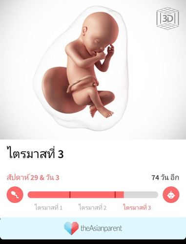 อายุครรภ์