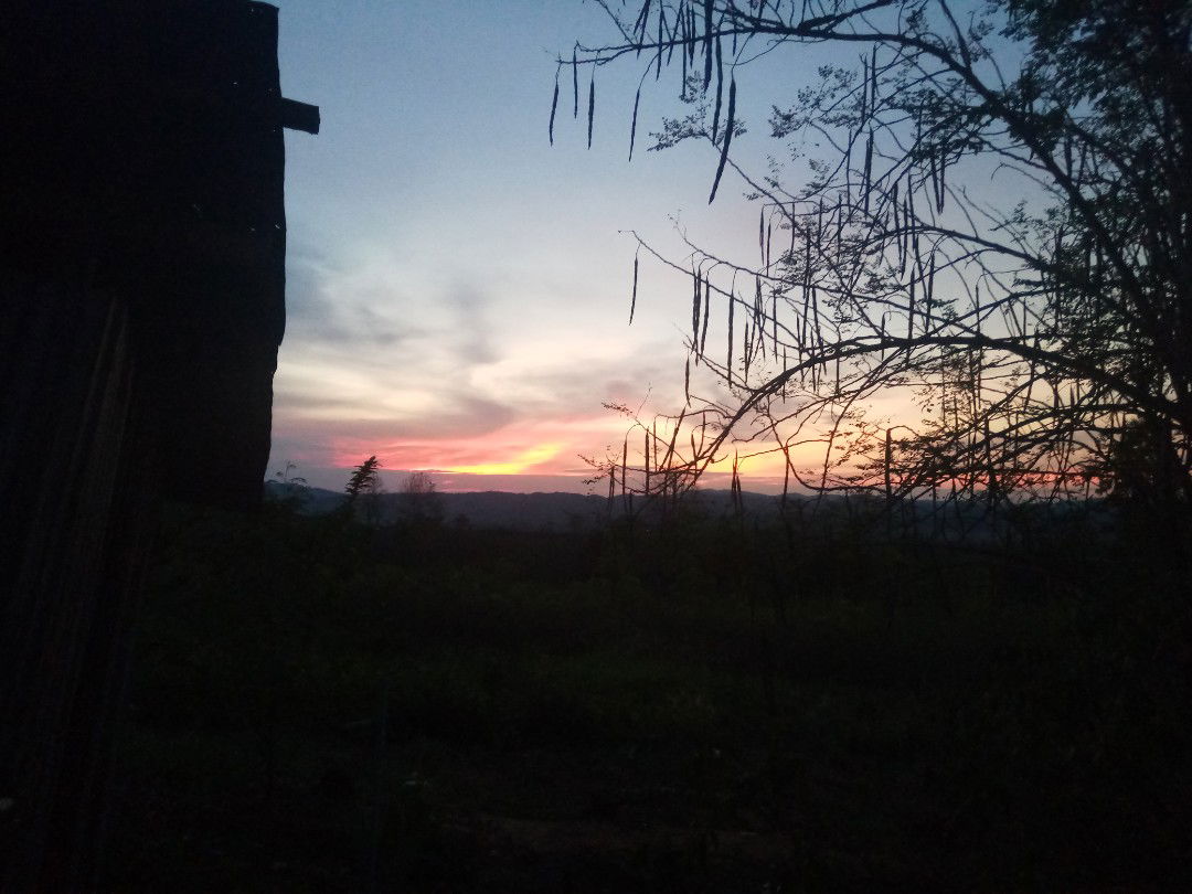 Ann Five profile icon