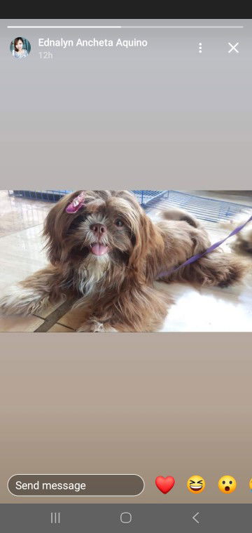 Lindsay profile icon