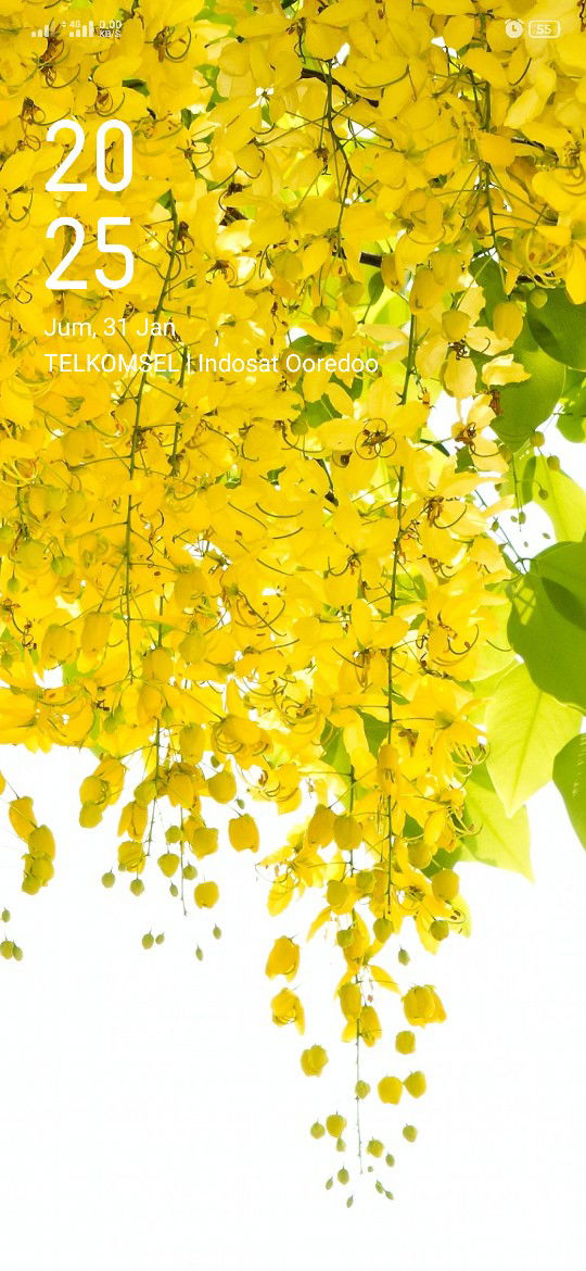 Sarah Fitria Aulia profile icon