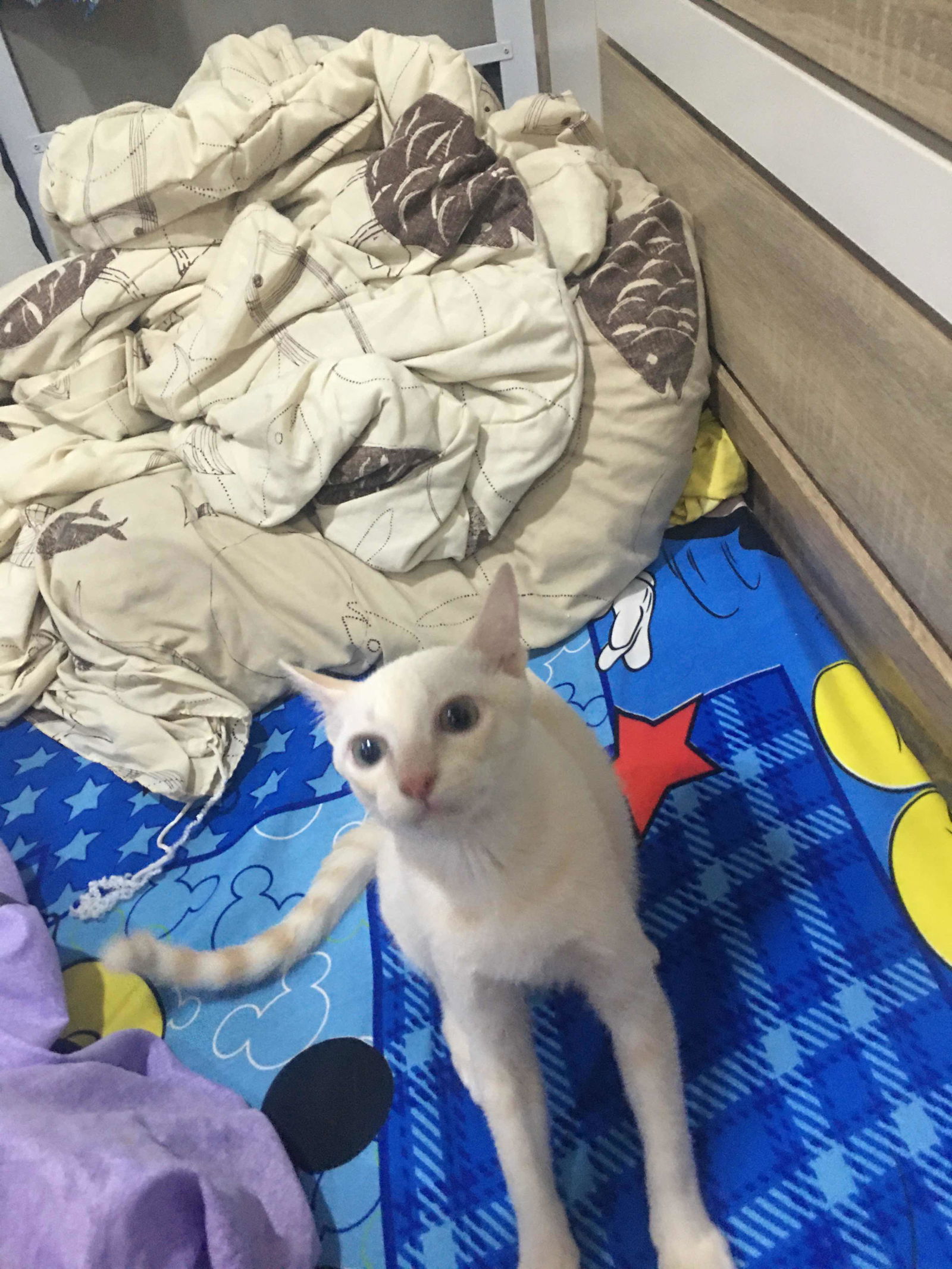 Barramee profile icon