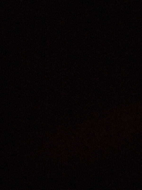 Bunga cl profile icon