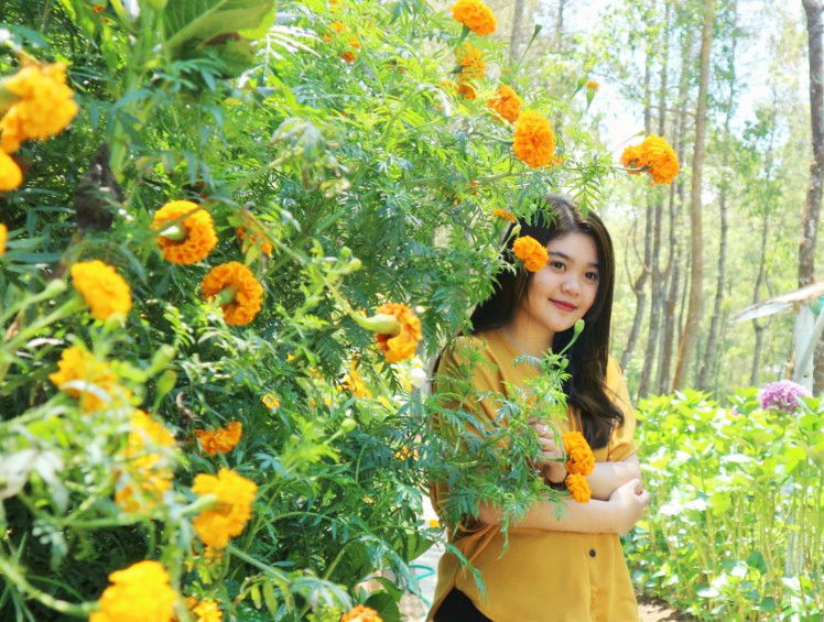 Neno Ashari profile icon