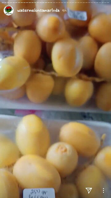 kurma muda -> masaknya menjadi kurma ruhtab