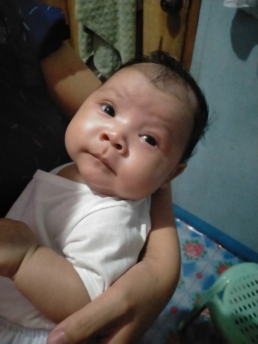sipon