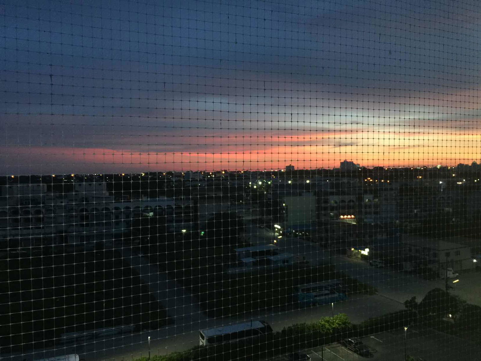 cartoon profile icon