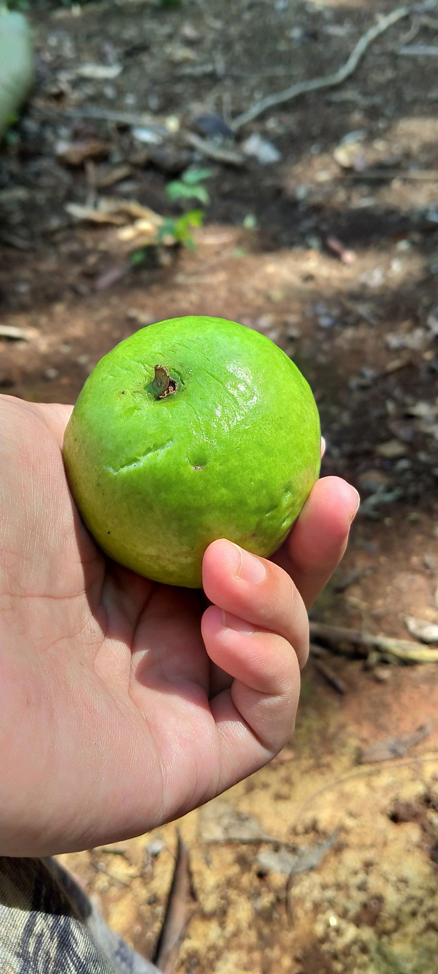 Ratu ayu profile icon