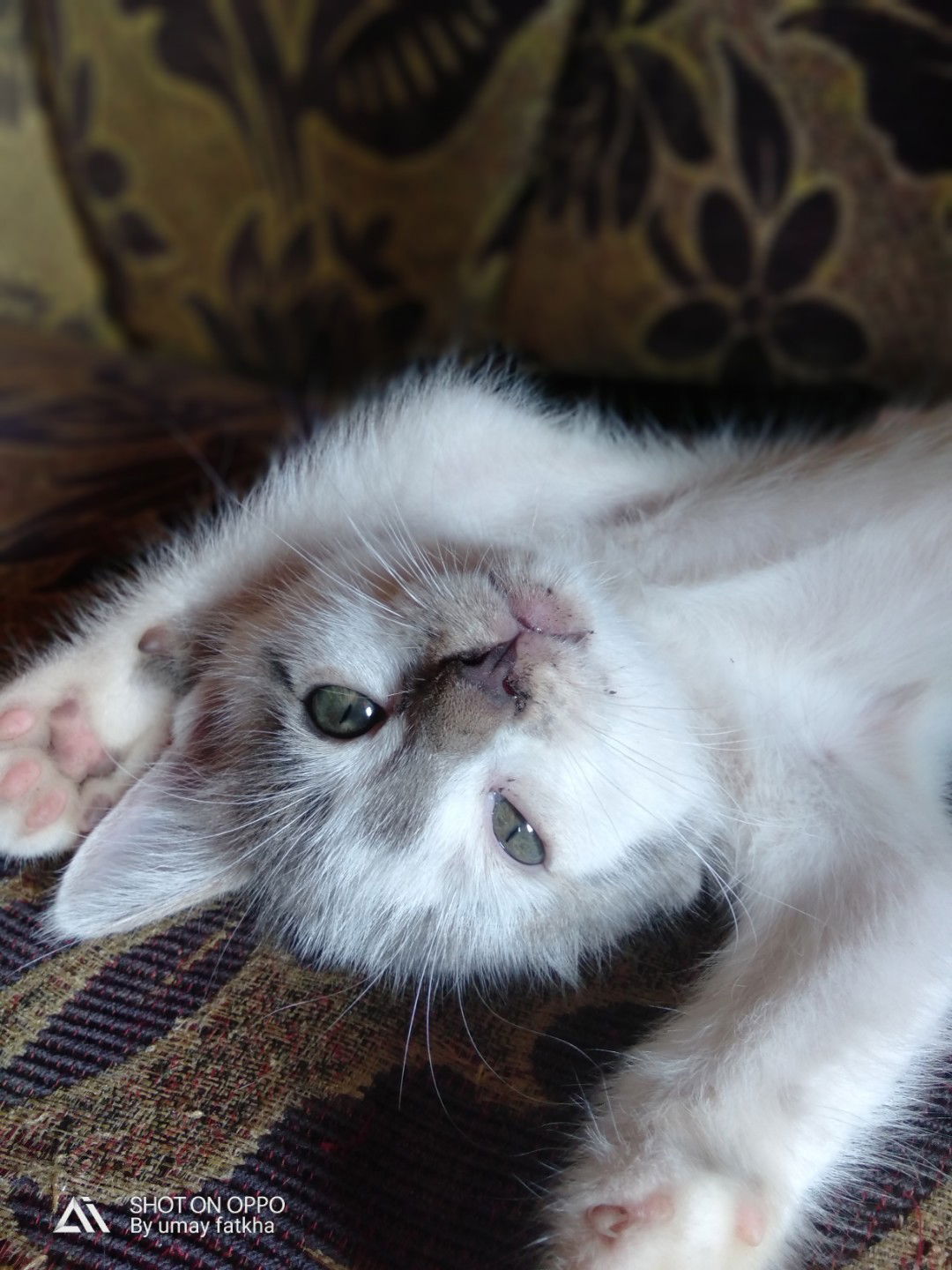 Umay Fatkha profile icon