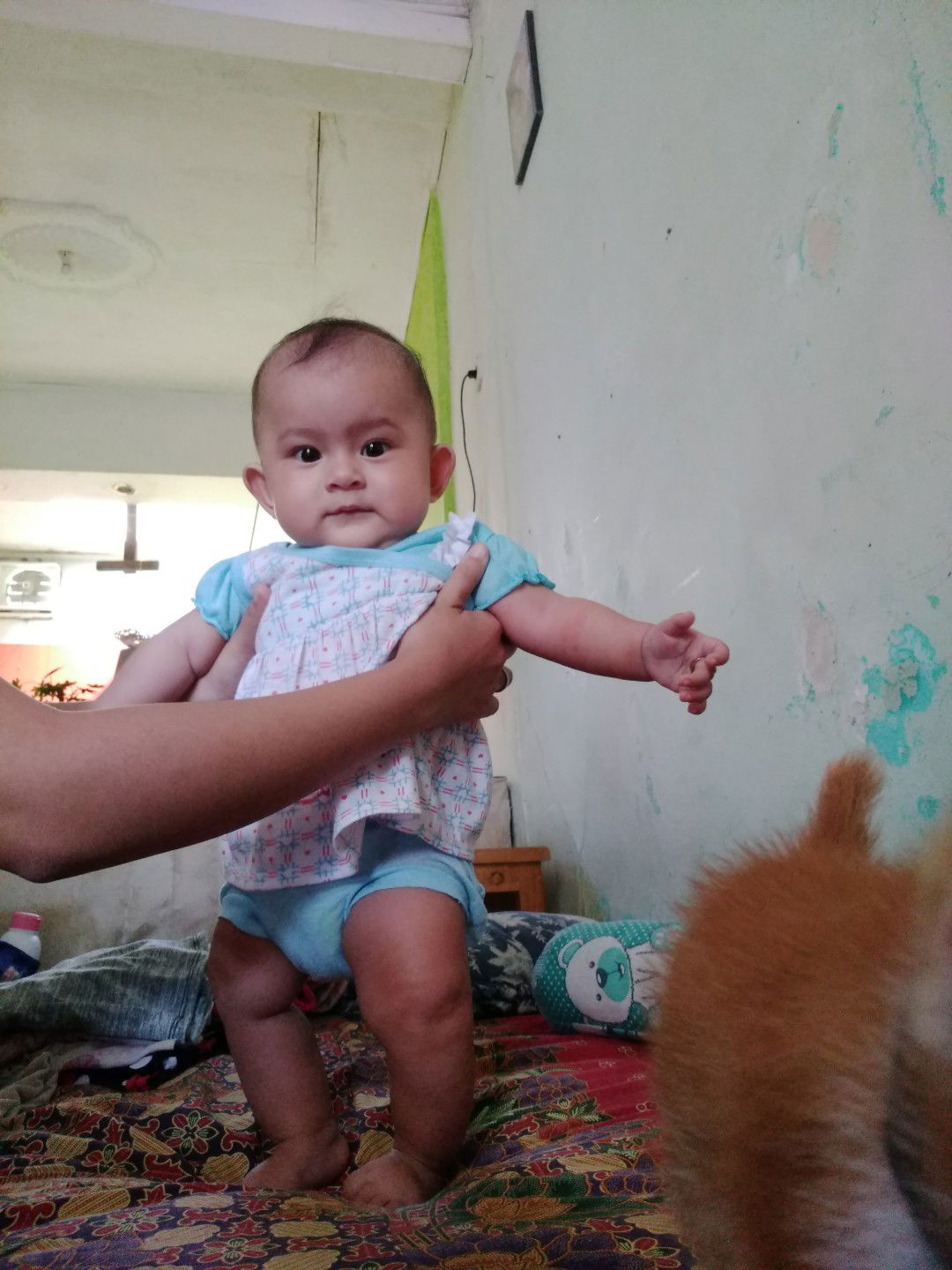 bayi 6bulan maunya berdiri