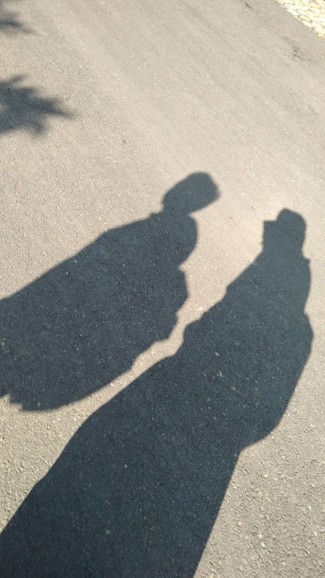 ummu salman profile icon