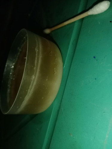 Salt And Morning Urine Home Pregnancy Test
