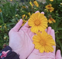 Ina Navia profile icon