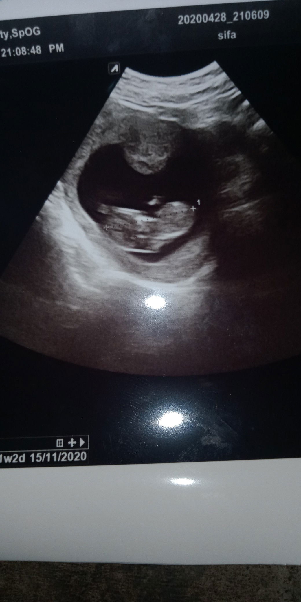 Sifa Hairani profile icon