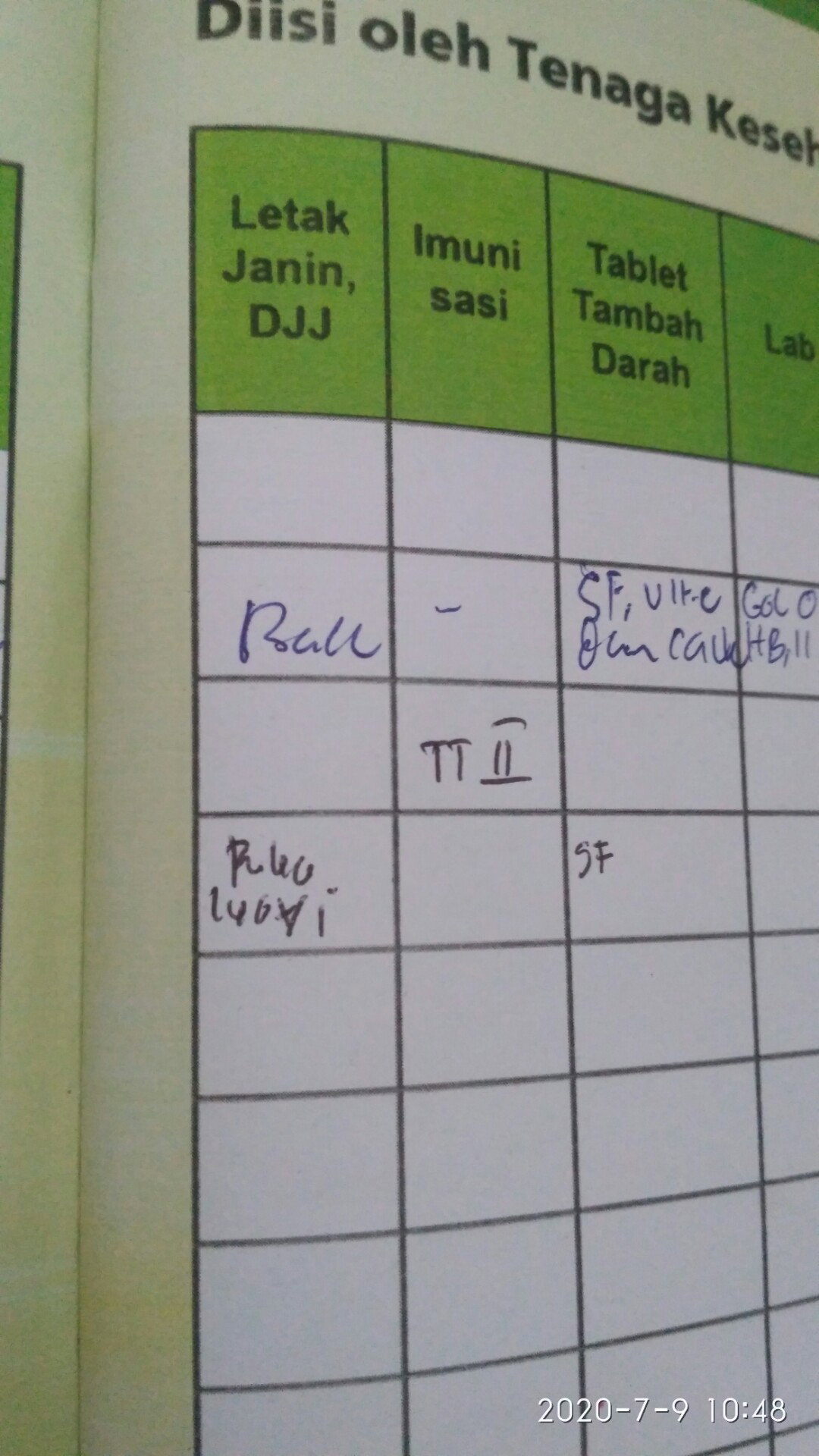 letak janin