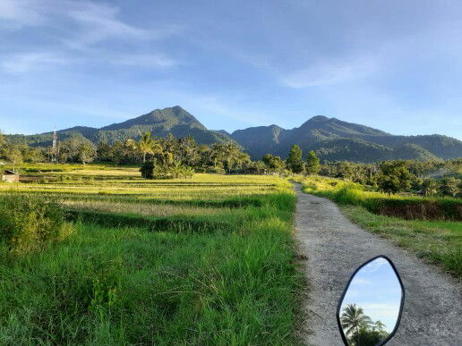 Syifa' Fauziah profile icon