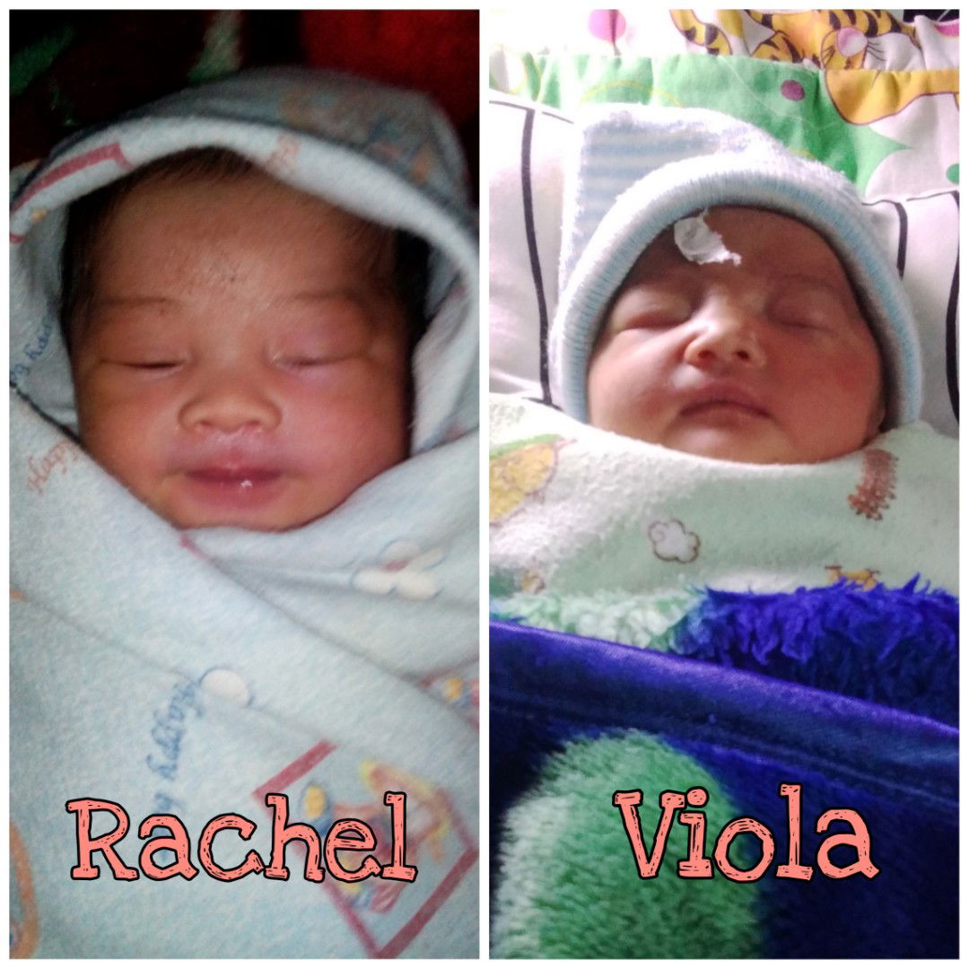 Pina Rika profile icon