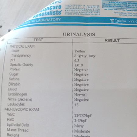 urinalysis result