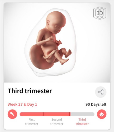 Hello 3rd Trimester