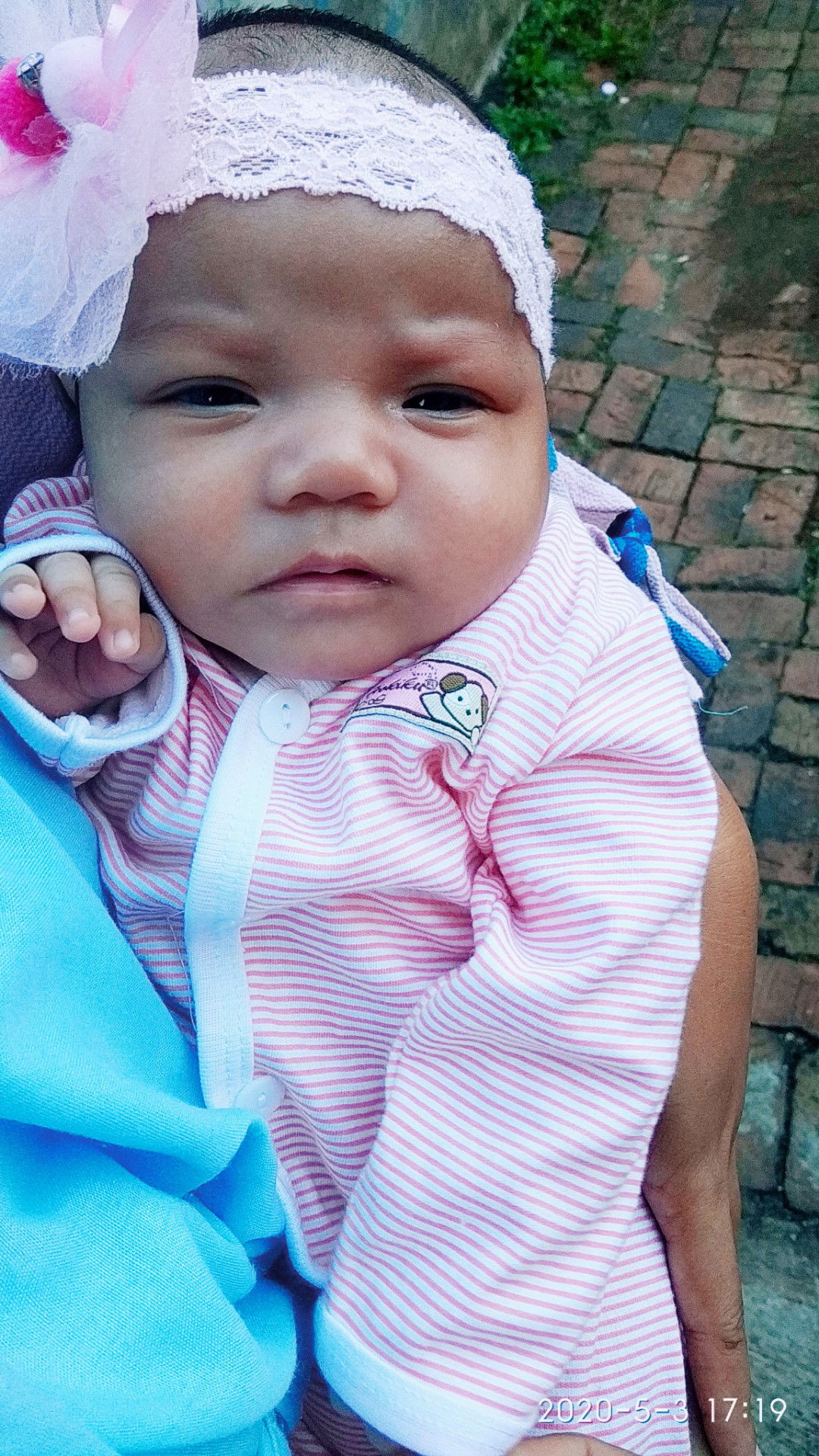 senja f.a profile icon